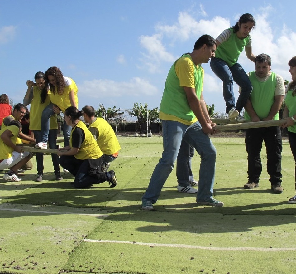Ladder Up activity photo 2